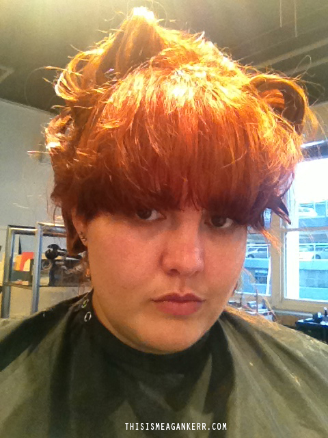 Meagan Kerr Hair Transformation Stage 3